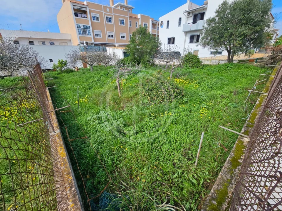 Terreno para Venda em Montenegro Foto 1