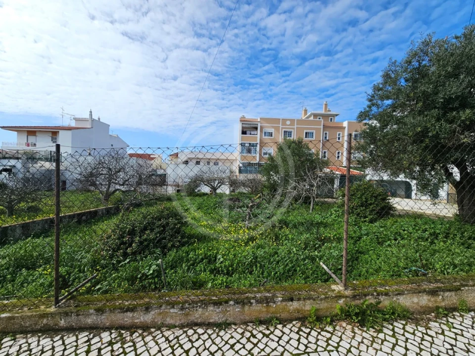 Terreno para Venda em Montenegro Foto 4