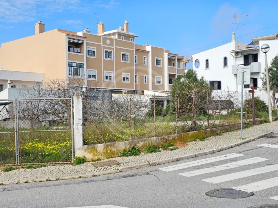 Terreno para Venda em Montenegro Foto 11