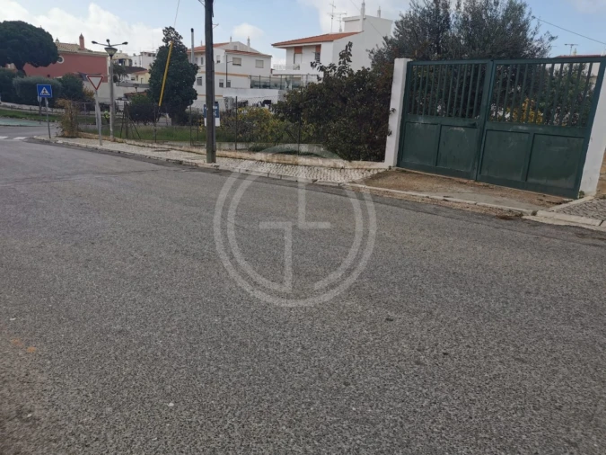 Terreno para Venda em Montenegro Foto 6