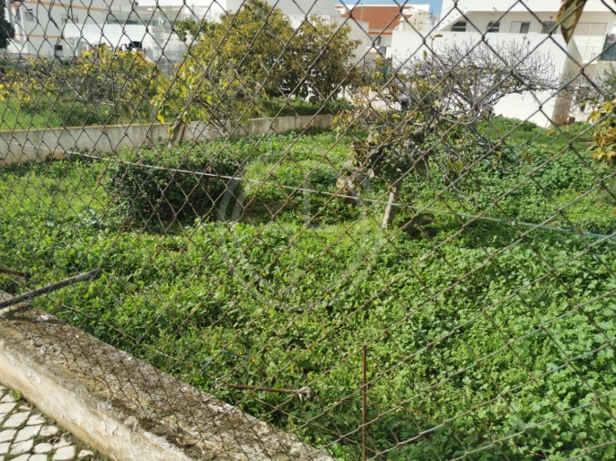 Terreno para Venda em Montenegro Foto 7