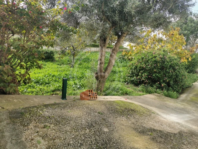 Terreno para Venda em Montenegro Foto 8