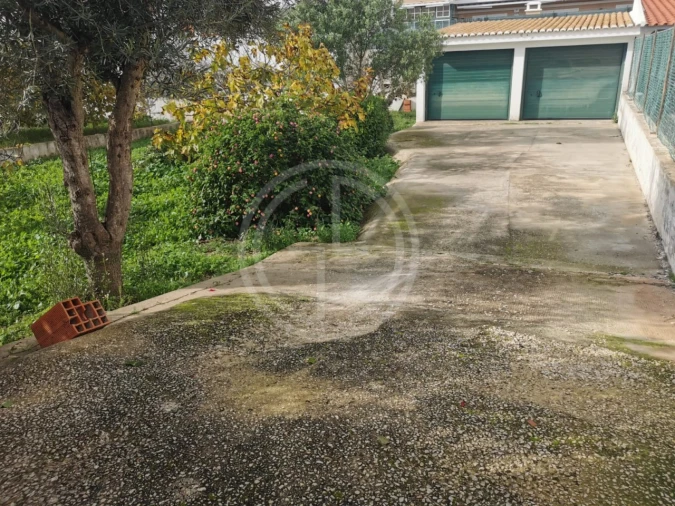 Terreno para Venda em Montenegro Foto 9