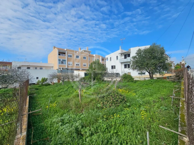 Terreno para Venda em Montenegro Foto 2