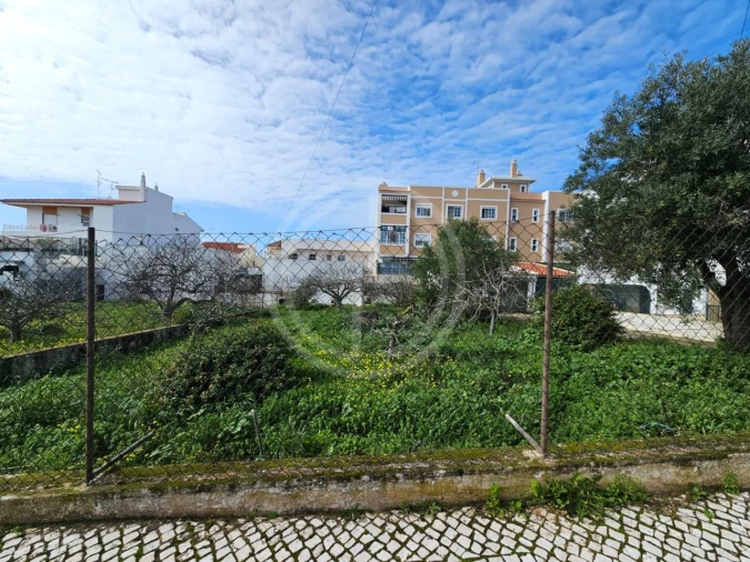 Terreno para Venda em Montenegro Foto 4