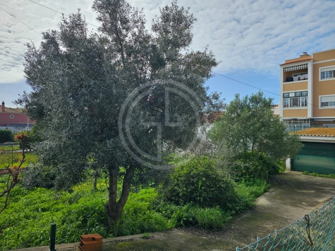 Terreno para Venda em Montenegro Foto 5