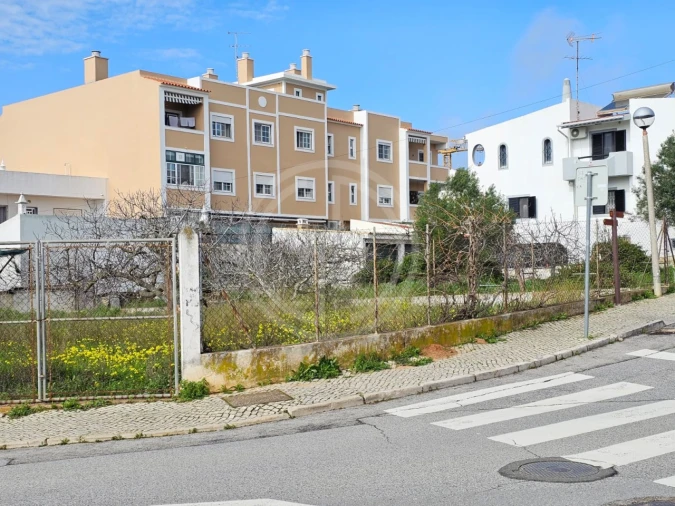 Terreno para Venda em Montenegro Foto 11