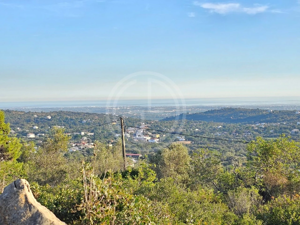 Terreno para Venda em Santa Barbara de Nexe Foto 3