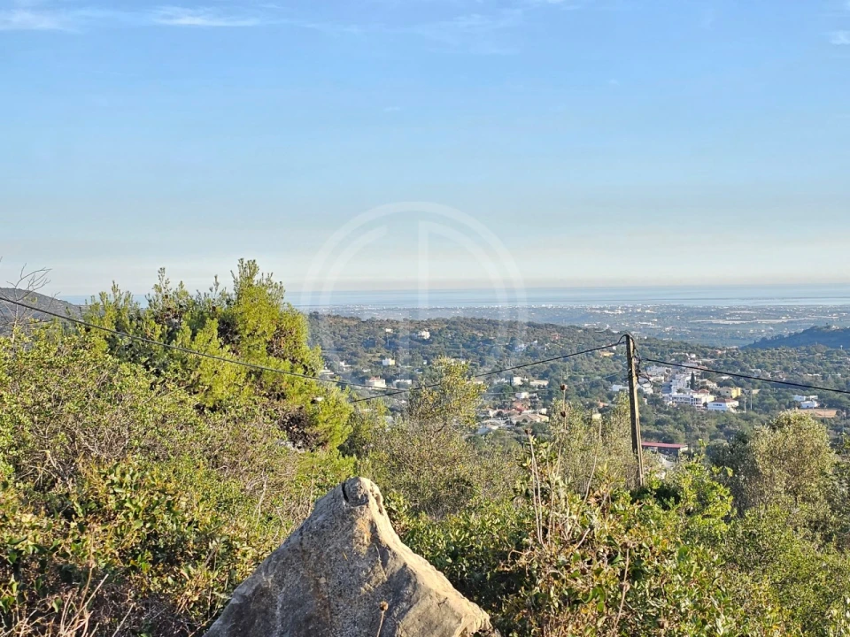 Terreno para Venda em Santa Barbara de Nexe Foto 4