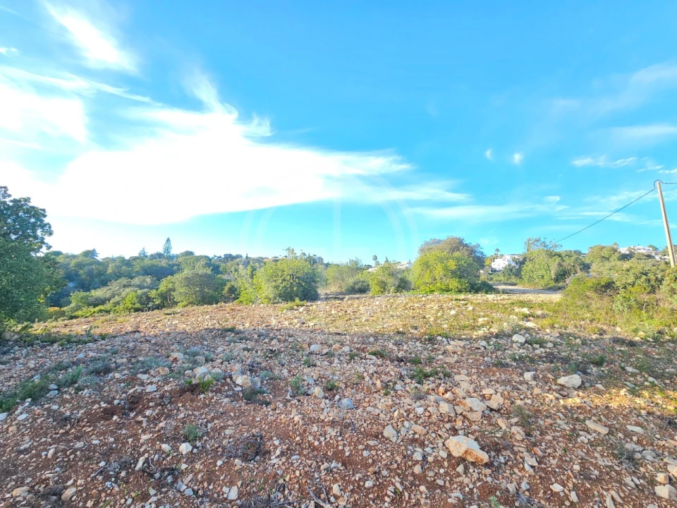 Terreno para Venda em Santa Barbara de Nexe Foto 6