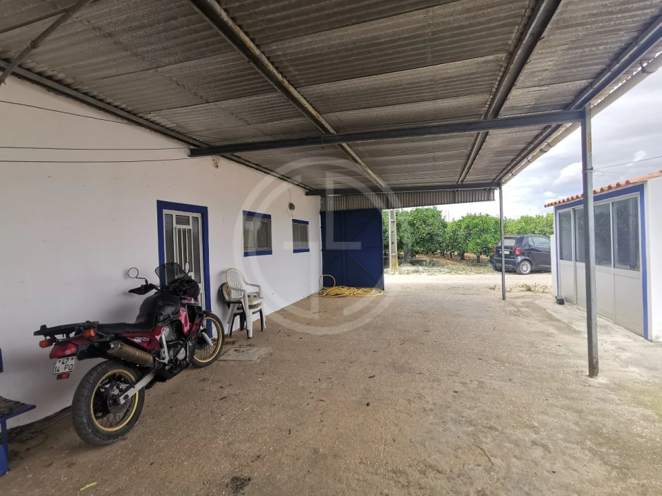 Terreno para Venda em Conceição e Estoi Foto 5