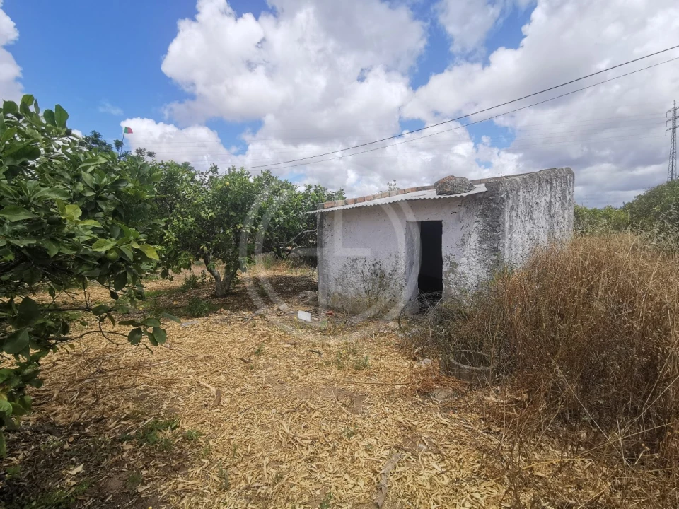 Terreno para Venda em Conceição e Estoi Foto 30