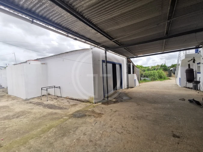 Terreno para Venda em Conceição e Estoi Foto 7