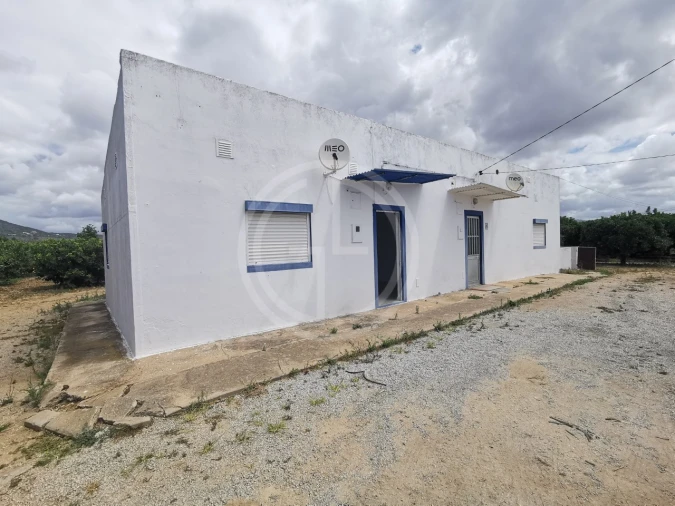 Terreno para Venda em Conceição e Estoi Foto 22
