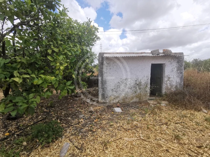 Terreno para Venda em Conceição e Estoi Foto 29