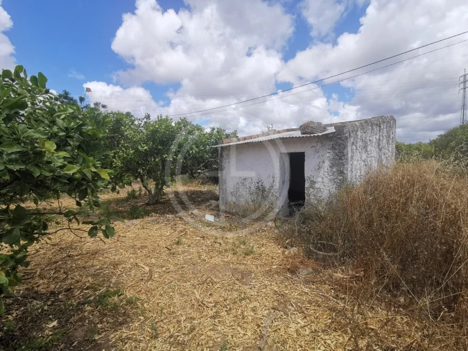 Terreno para Venda em Conceição e Estoi Foto 30