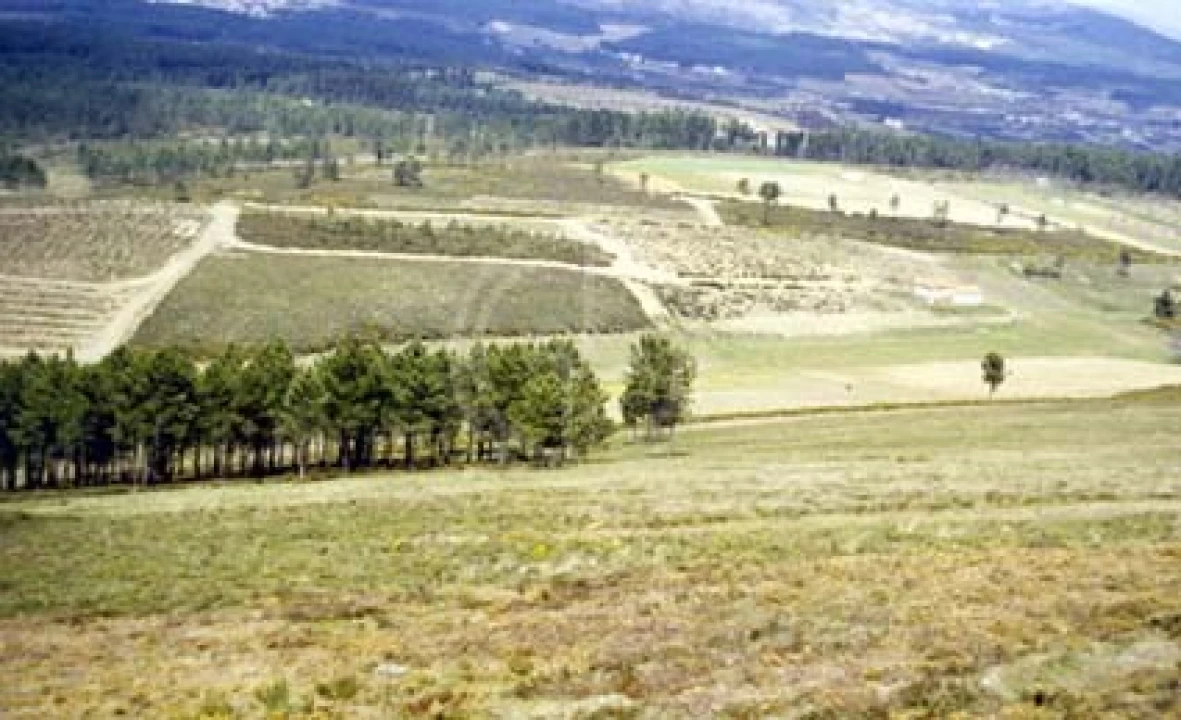 Terreno para Venda em Paços Foto 1