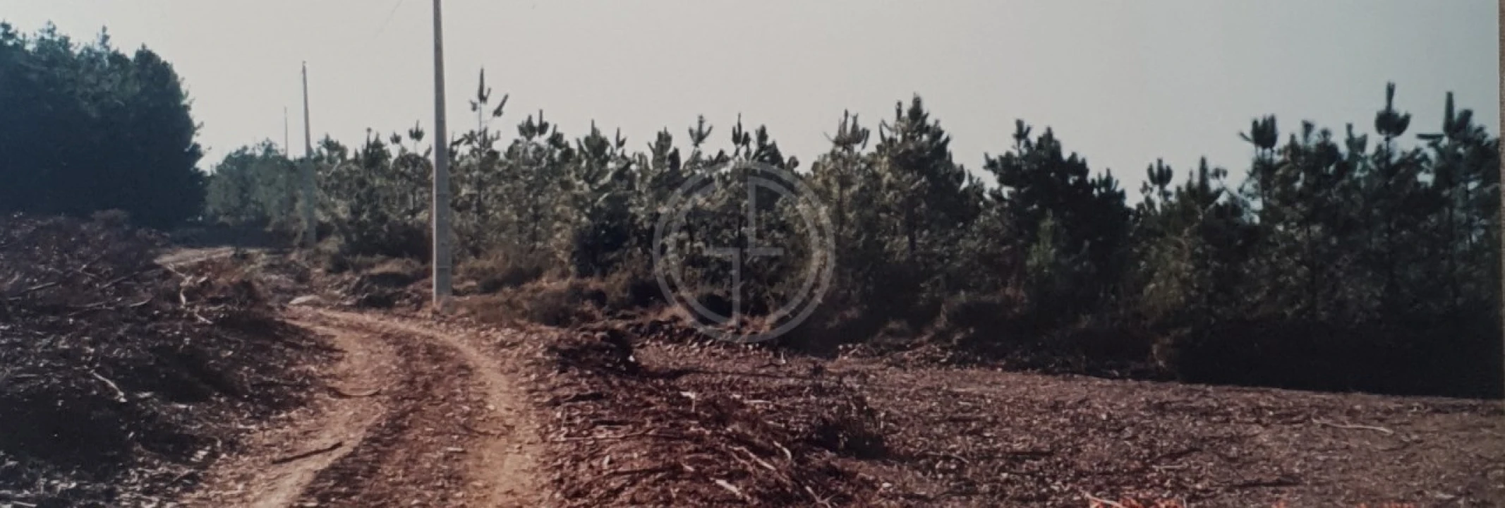 Terreno para Venda em Paços Foto 3