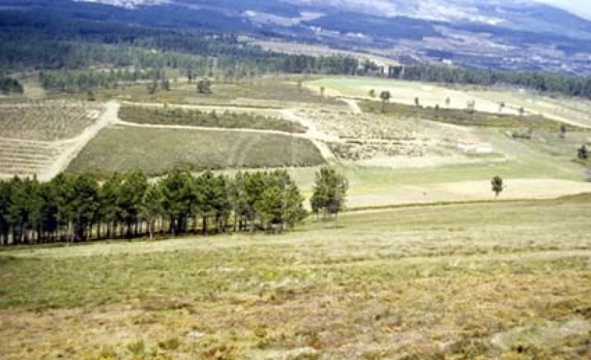 Terreno para Venda em Paços Foto 1