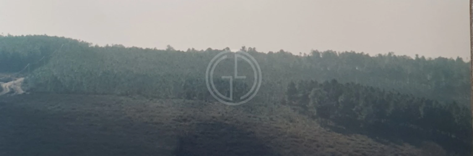 Terreno para Venda em Paços Foto 2