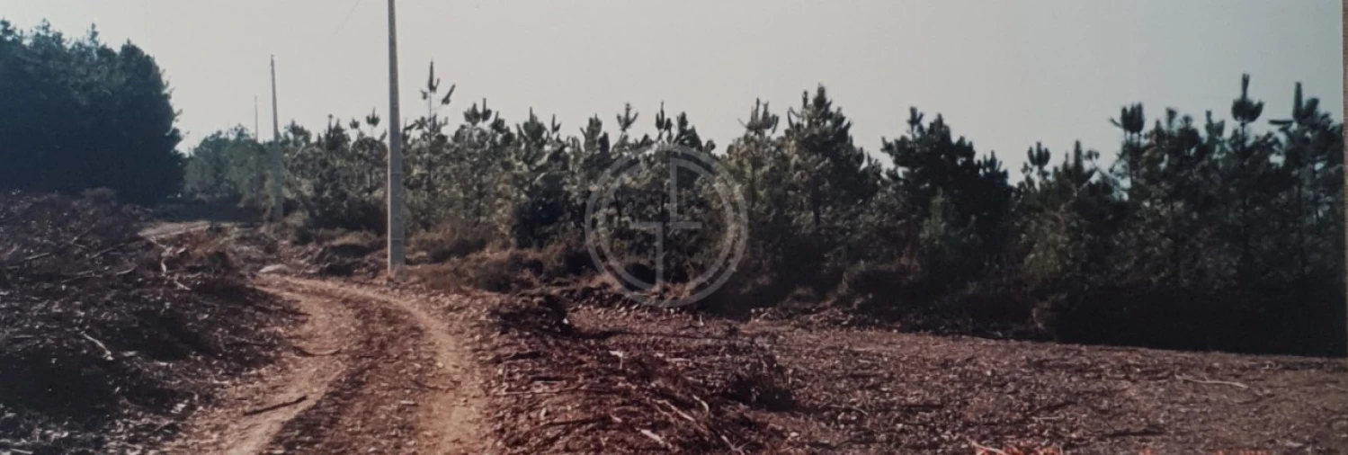 Terreno para Venda em Paços Foto 3