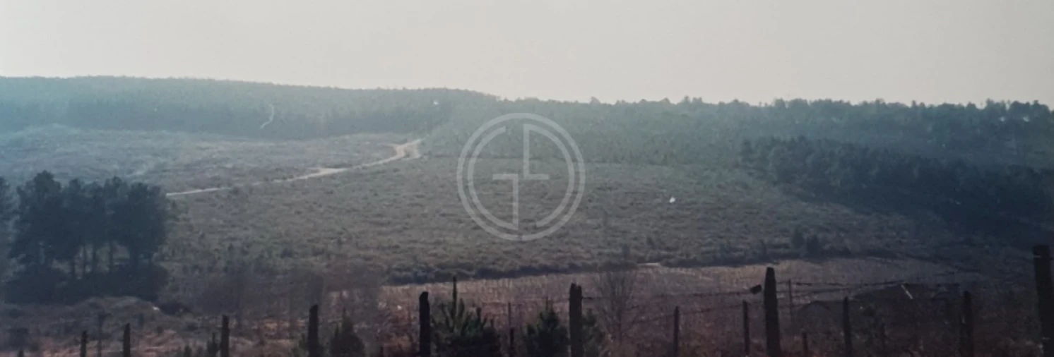 Terreno para Venda em Paços Foto 5