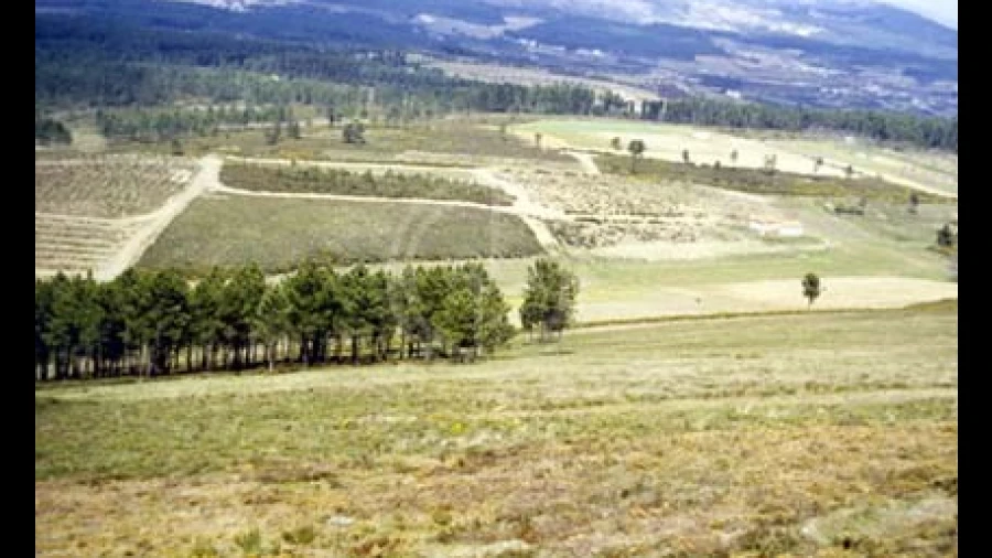 Terreno para Venda em Paços