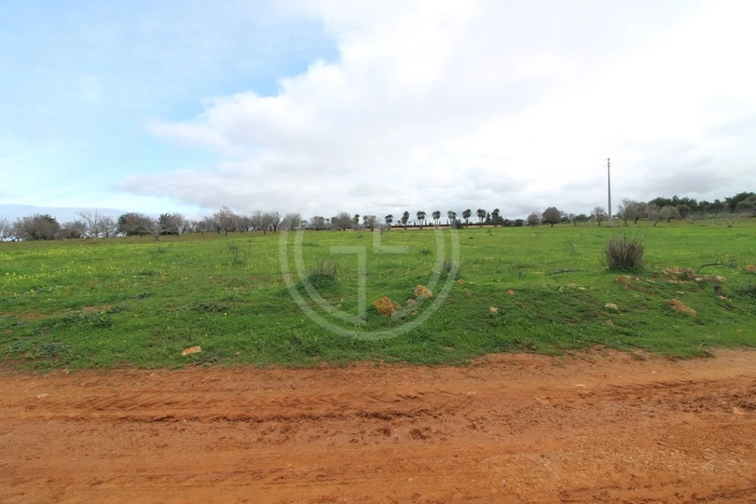 Terreno para Venda em Guia Foto 1
