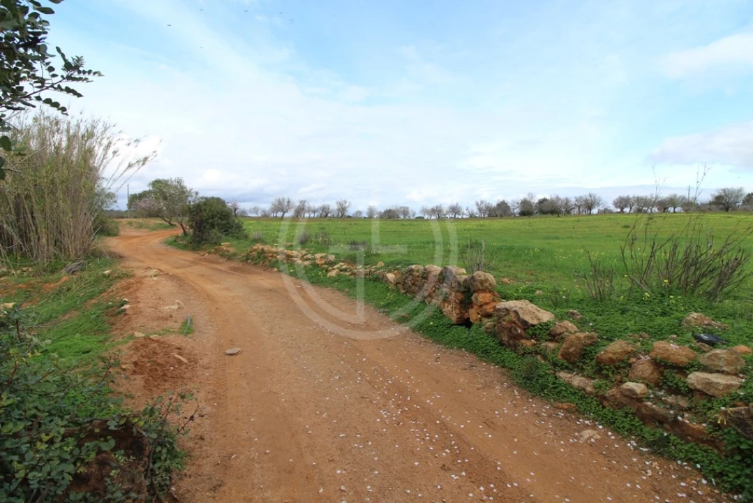 Terreno para Venda em Guia Foto 2