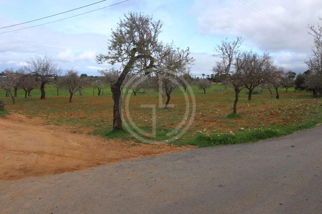 Terreno para Venda em Guia Foto 3