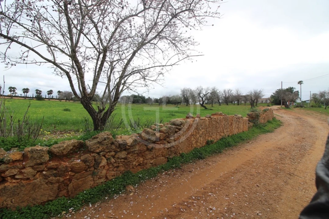 Terreno para Venda em Guia Foto 6