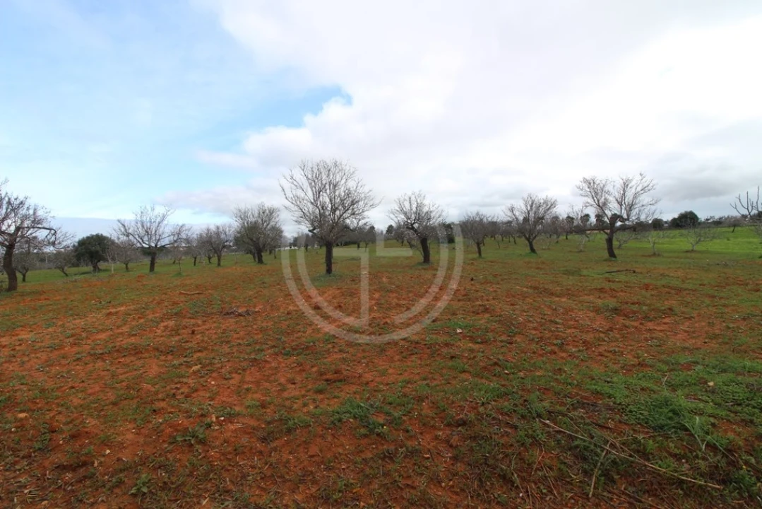 Terreno para Venda em Guia Foto 9