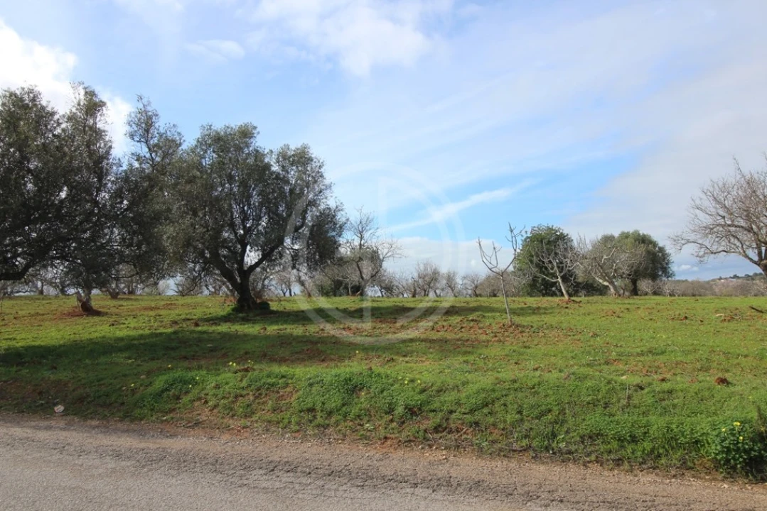 Terreno para Venda em Guia Foto 12