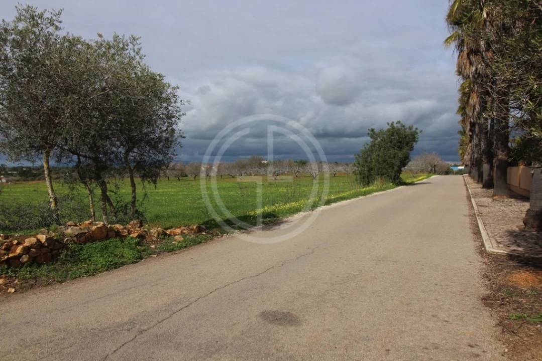 Terreno para Venda em Guia Foto 13