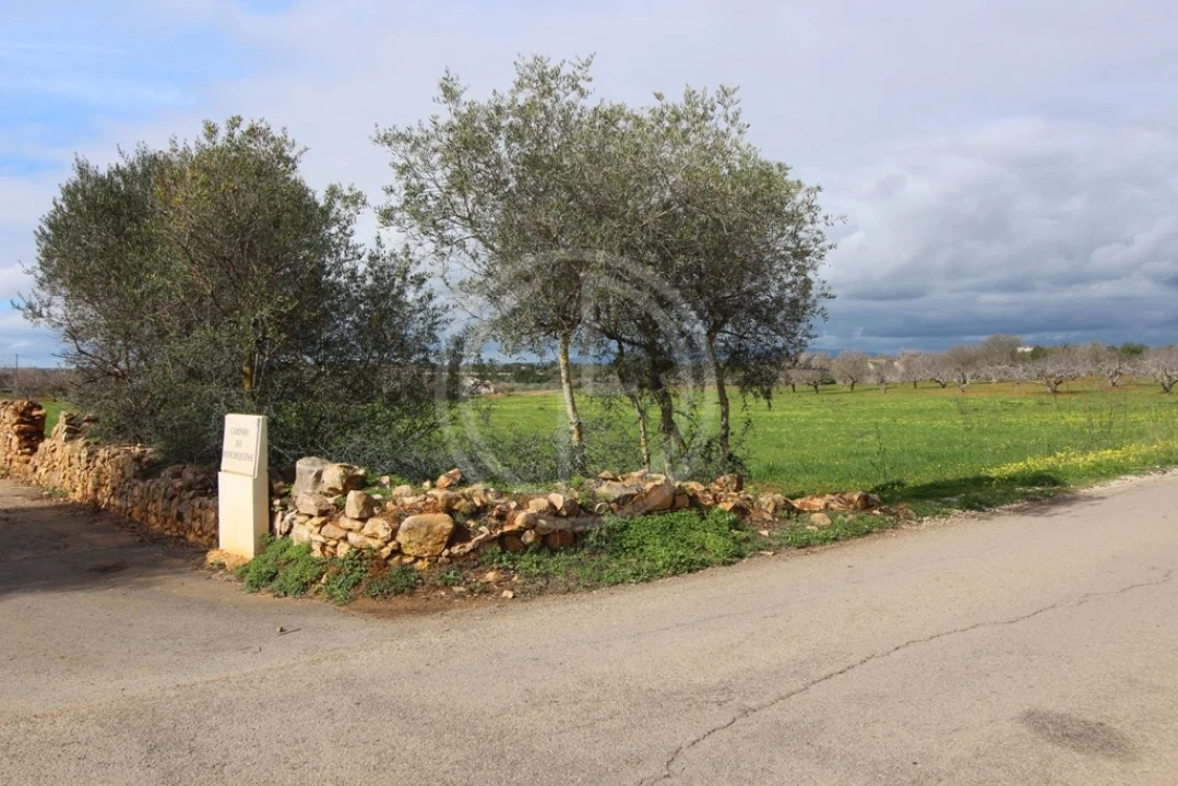 Terreno para Venda em Guia Foto 14