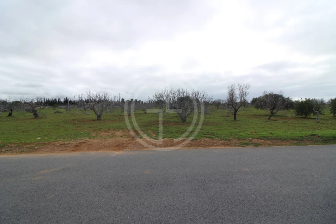 Terreno para Venda em Guia Foto 16