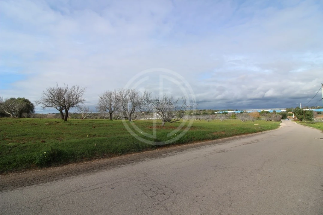 Terreno para Venda em Guia Foto 19