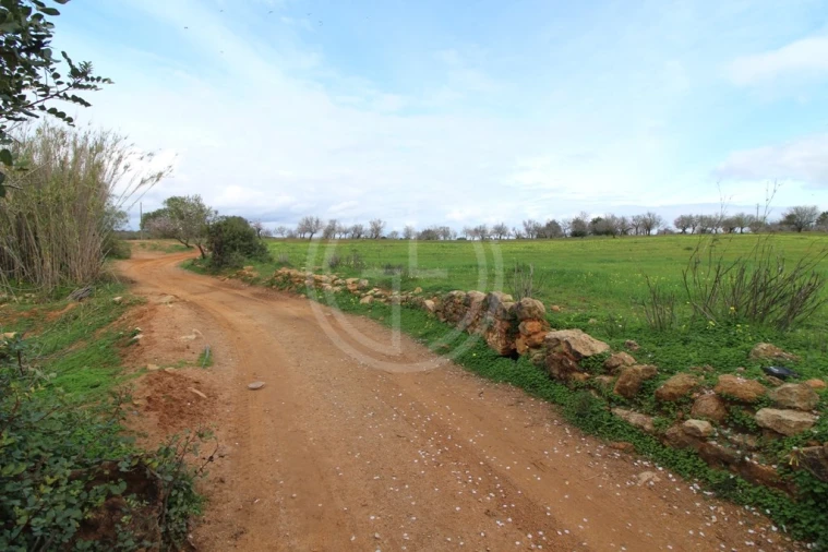 Terreno para Venda em Guia Foto 2