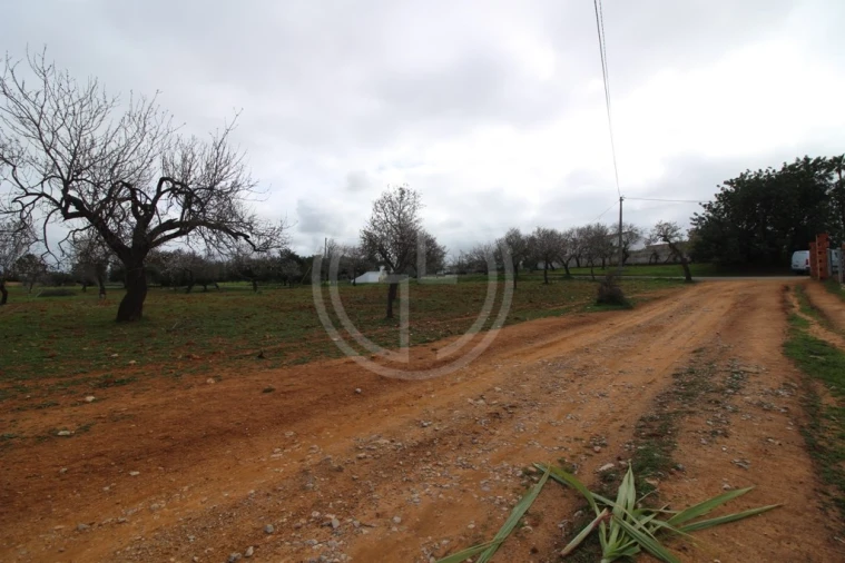 Terreno para Venda em Guia Foto 5