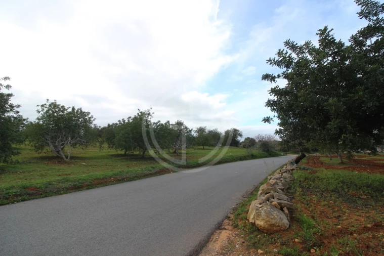 Terreno para Venda em Guia Foto 18