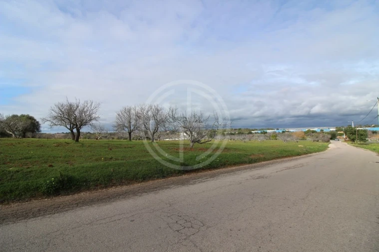 Terreno para Venda em Guia Foto 19