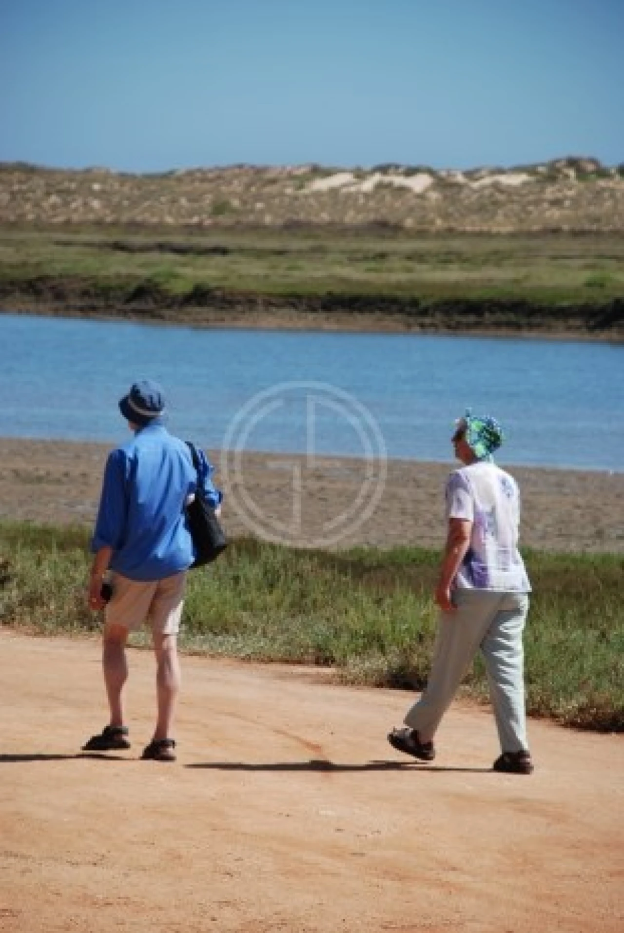 Terreno para Venda em Loule (São Clemente) Foto 14