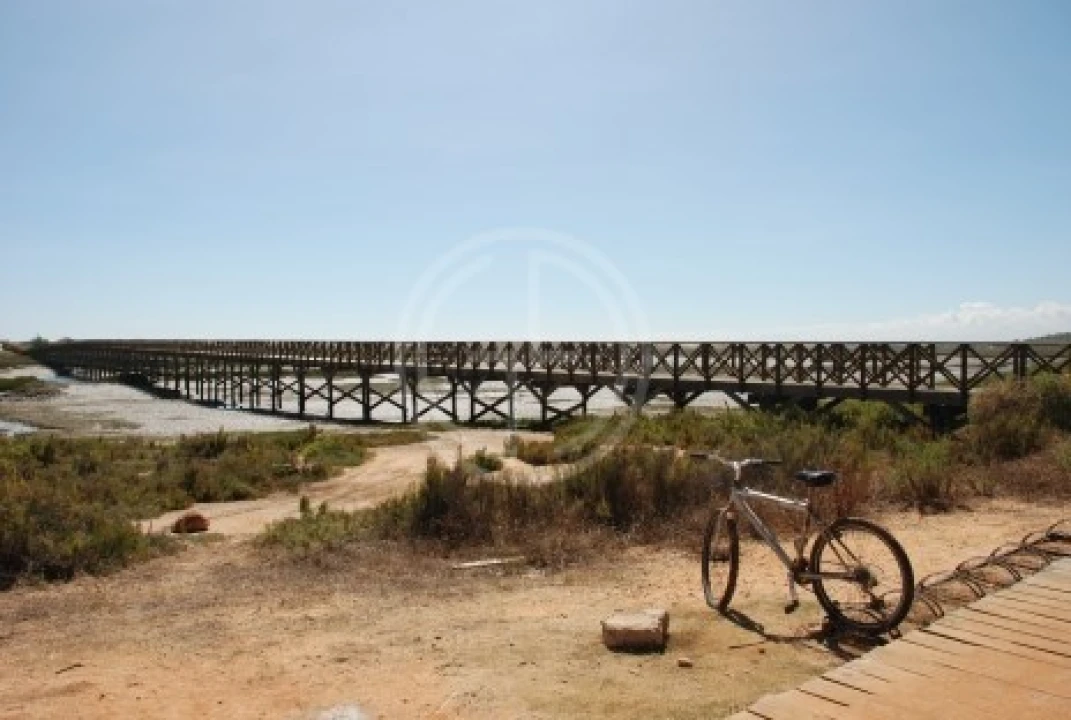 Terreno para Venda em Loule (São Clemente) Foto 16