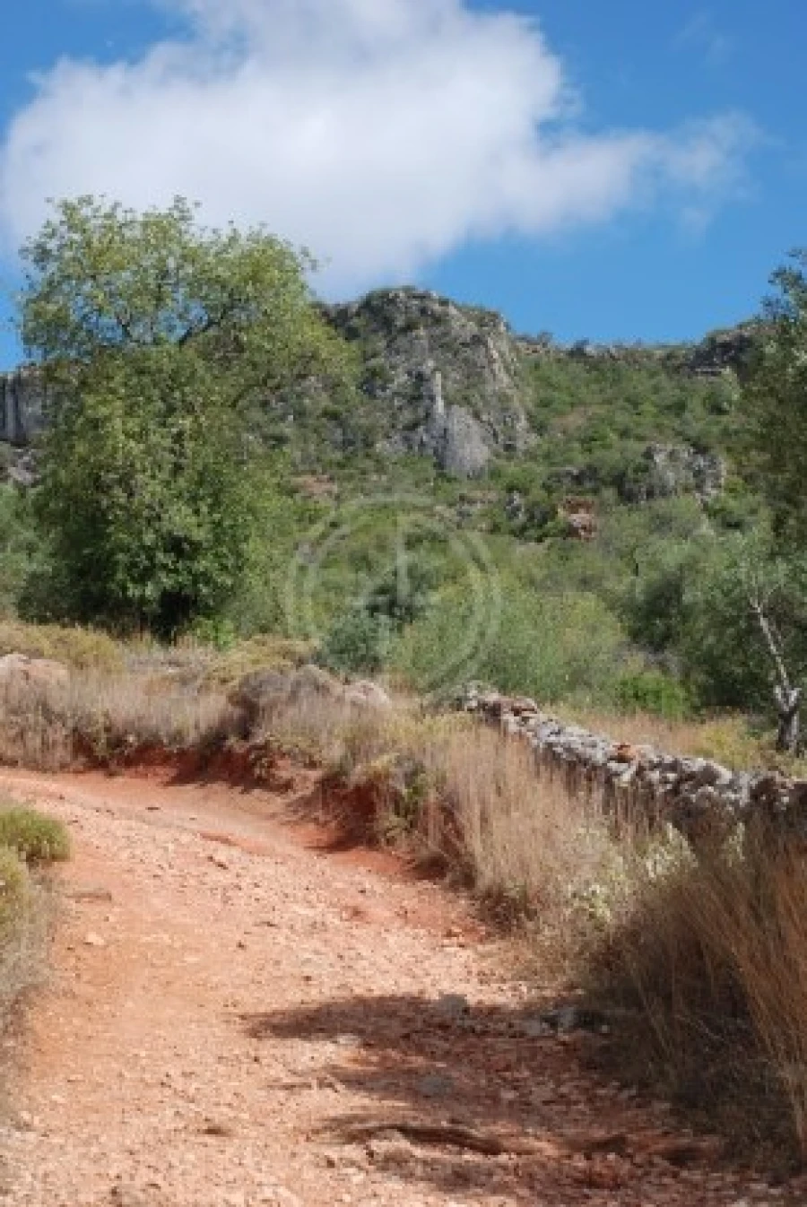Terreno para Venda em Loule (São Clemente) Foto 17