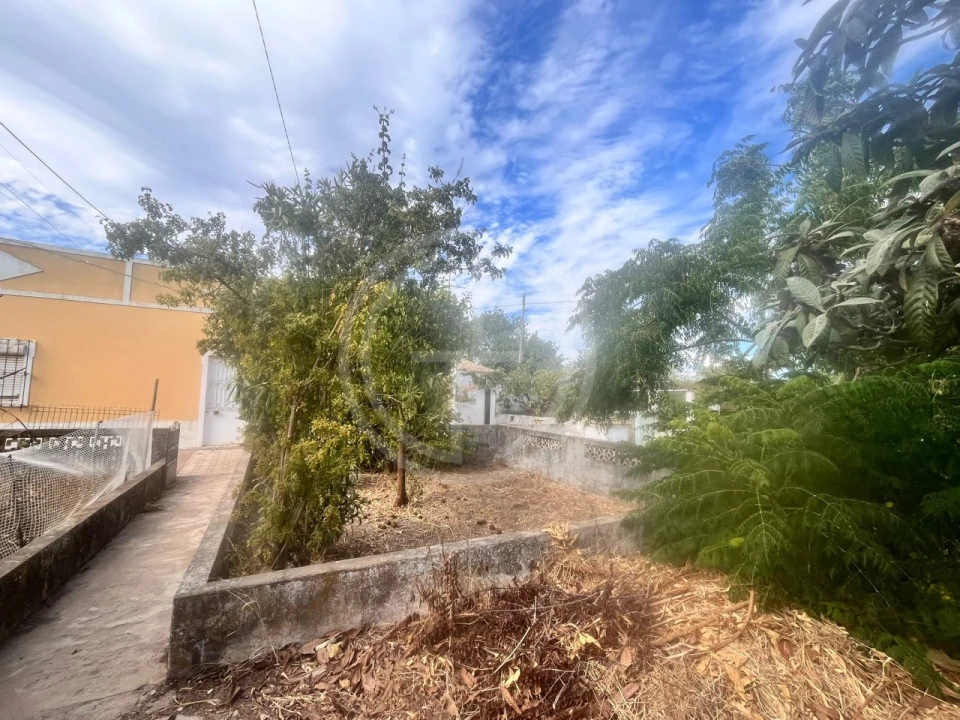 Terreno para Venda em Loule (São Sebastião) Foto 4