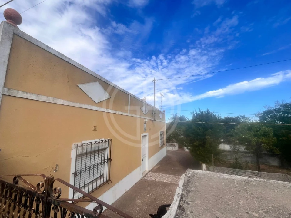 Terreno para Venda em Loule (São Sebastião) Foto 7