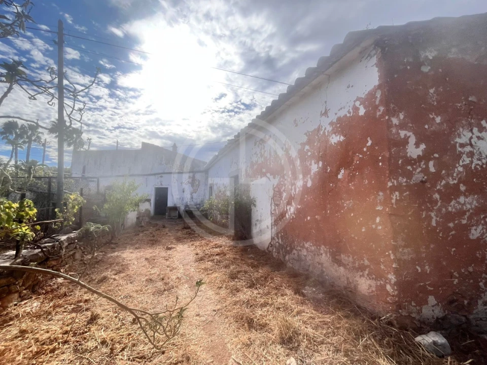 Terreno para Venda em Loule (São Sebastião) Foto 12