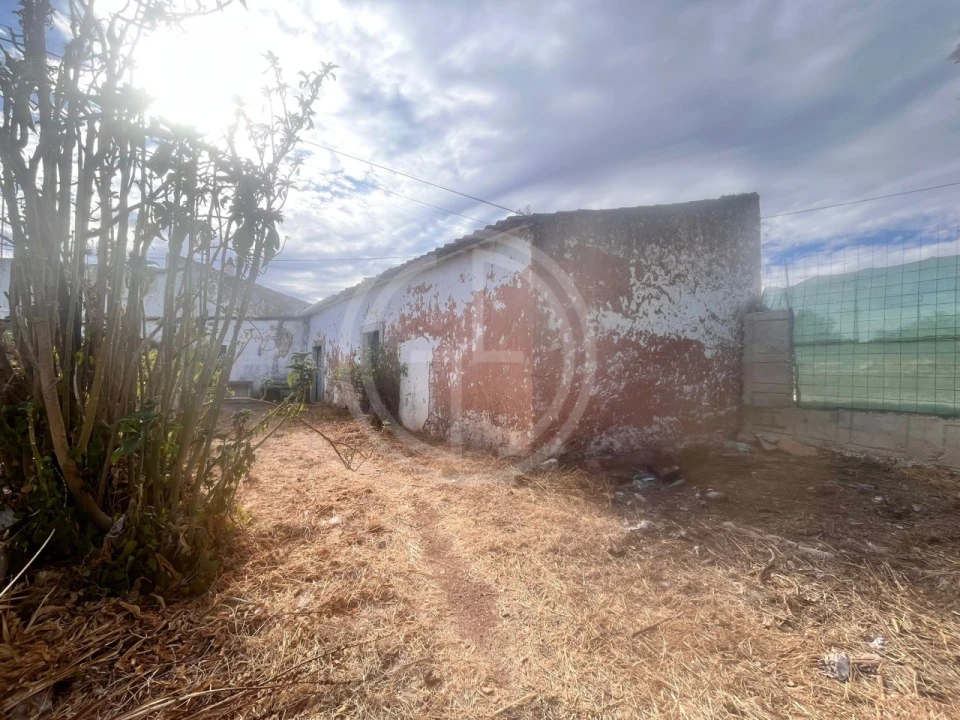 Terreno para Venda em Loule (São Sebastião) Foto 14