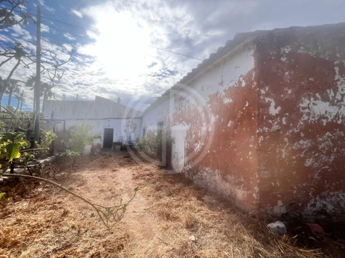 Terreno para Venda em Loule (São Sebastião) Foto 11