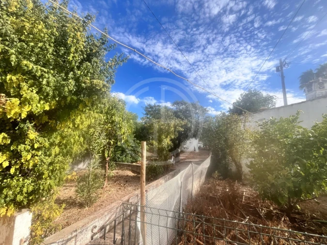 Terreno para Venda em Loule (São Sebastião) Foto 16